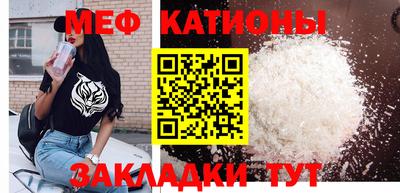 крисы Камышлов