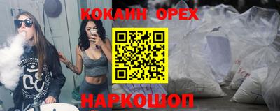 крисы Камышлов