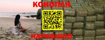 стаф Кингисепп