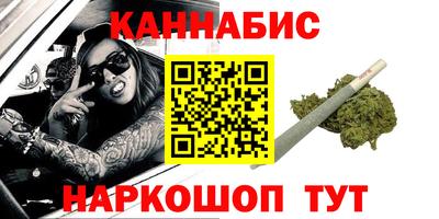 крисы Камышлов