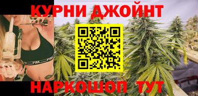 крисы Камышлов