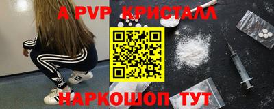 крисы Камышлов